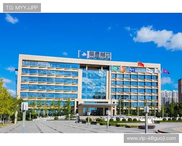 K8凯发中国天生赢家·一触即发：品牌影响力持续扩大，赢得市场和消费者的高度认可